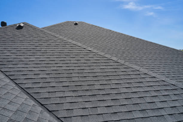 Best Roof Moss and Algae Removal  in Athens, MI